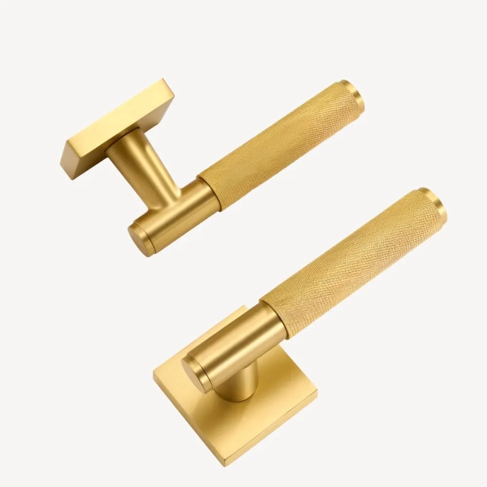 The Brass Door Handle